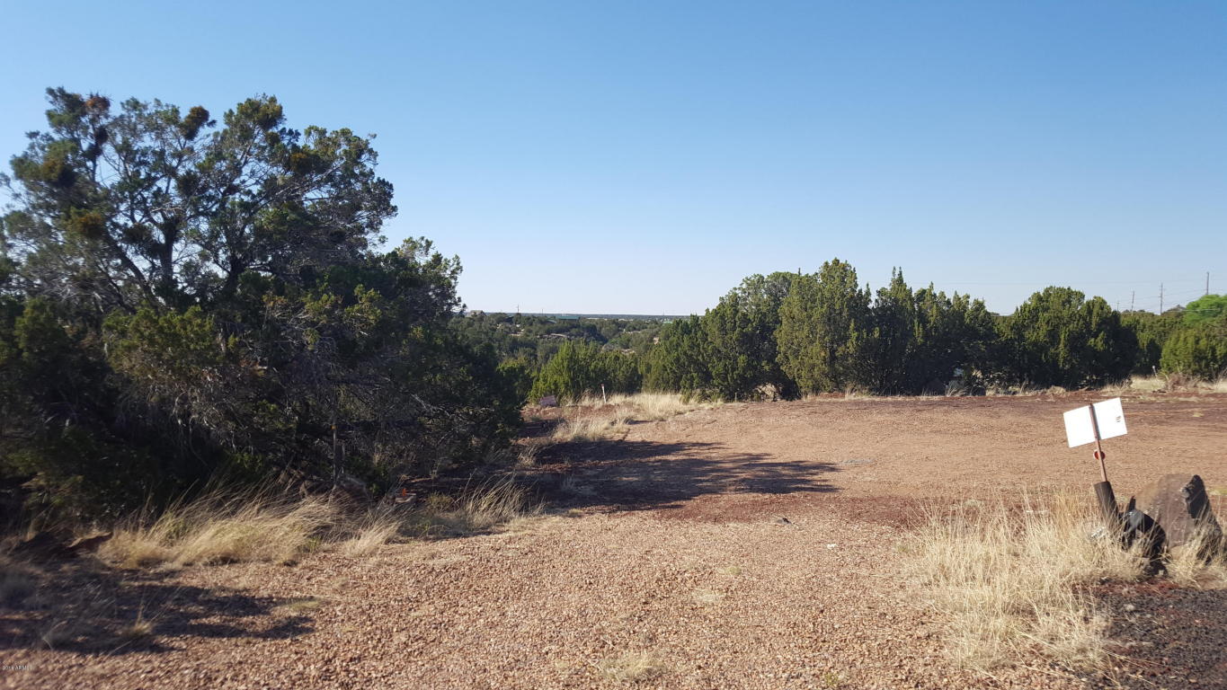 8579 MEYERS Place, Show Low, AZ 85901