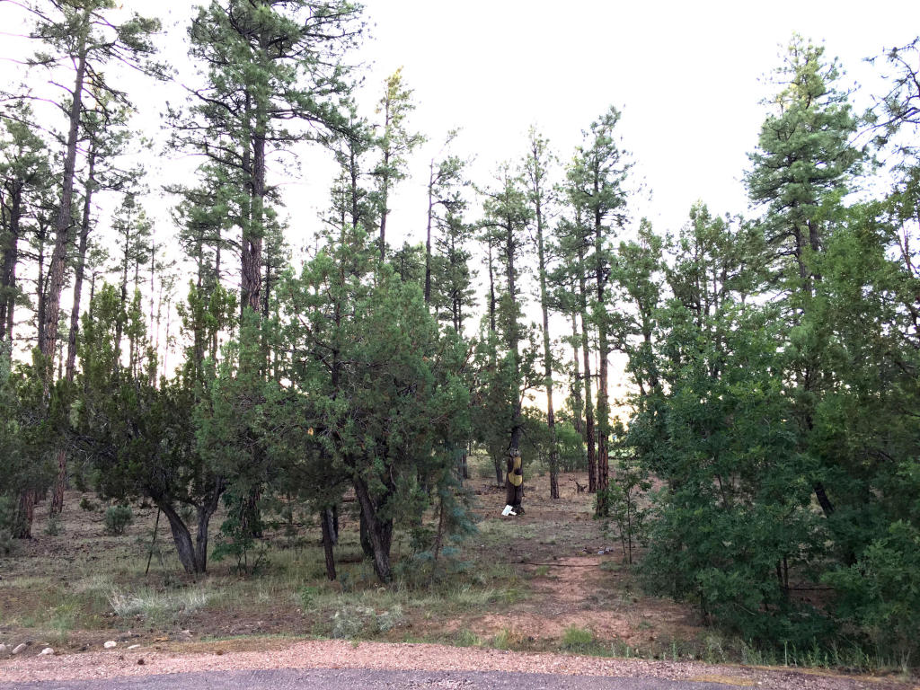 300 W Creekwood Lane, Show Low, AZ 85901