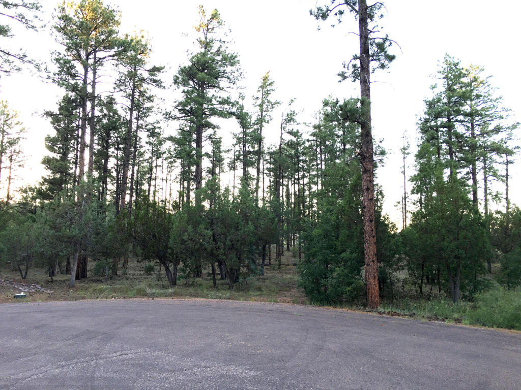 300 W Creekwood Lane, Show Low, AZ 85901