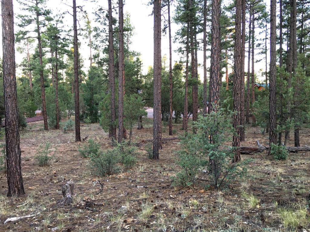 300 W Creekwood Lane, Show Low, AZ 85901