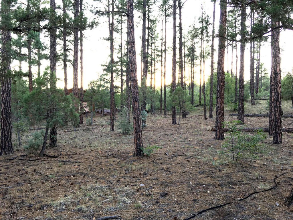 300 W CREEKWOOD Lane, Show Low, AZ 85901