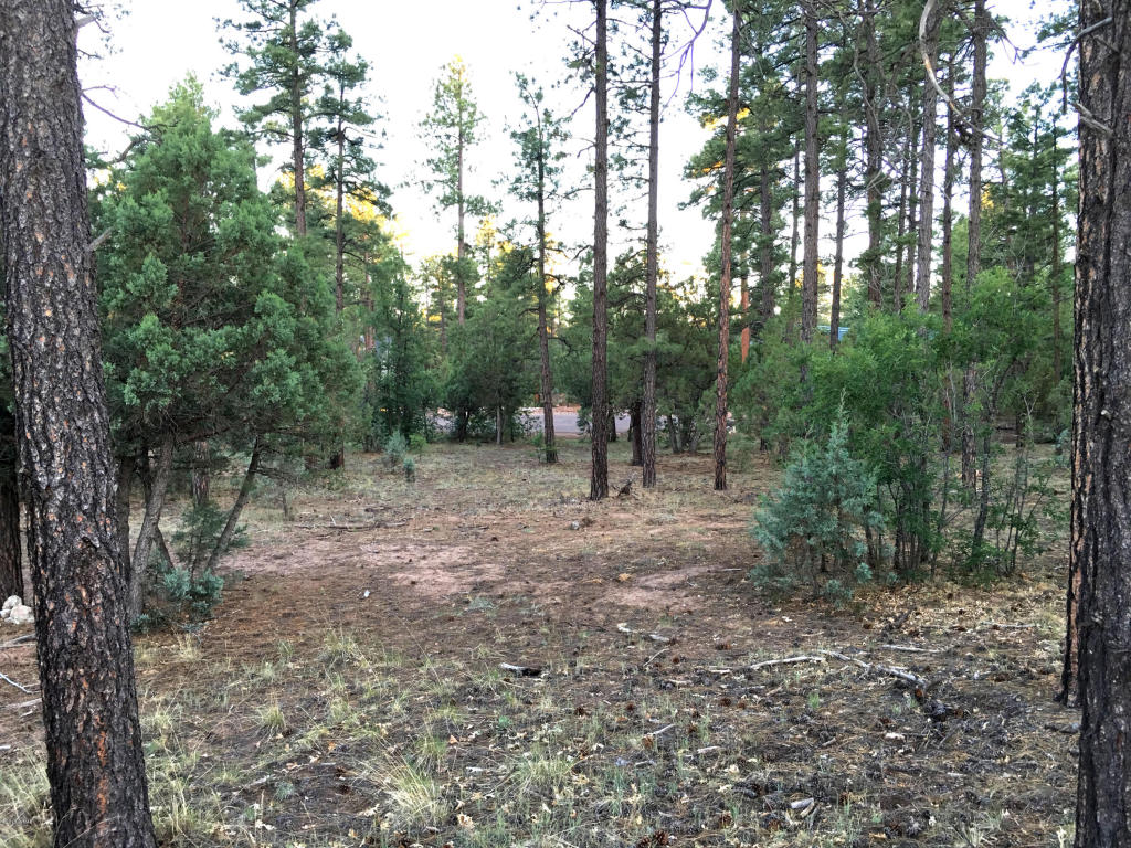 300 W CREEKWOOD Lane, Show Low, AZ 85901