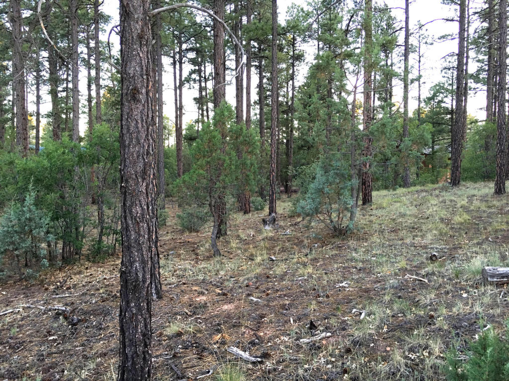 300 W CREEKWOOD Lane, Show Low, AZ 85901