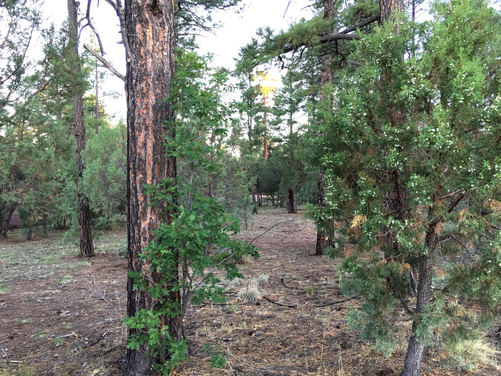 300 W CREEKWOOD Lane, Show Low, AZ 85901