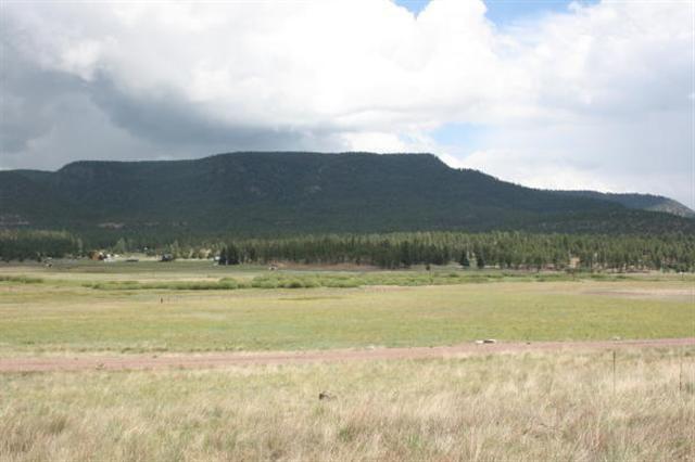 001T CR N2157, Alpine, AZ 85920