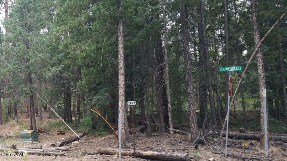 Lot 1 Squaw Valley CR 2073, Alpine, AZ 85920