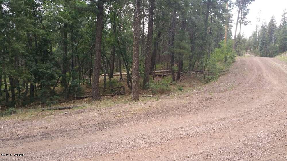 Lot 1 Squaw Valley CR 2073, Alpine, AZ 85920