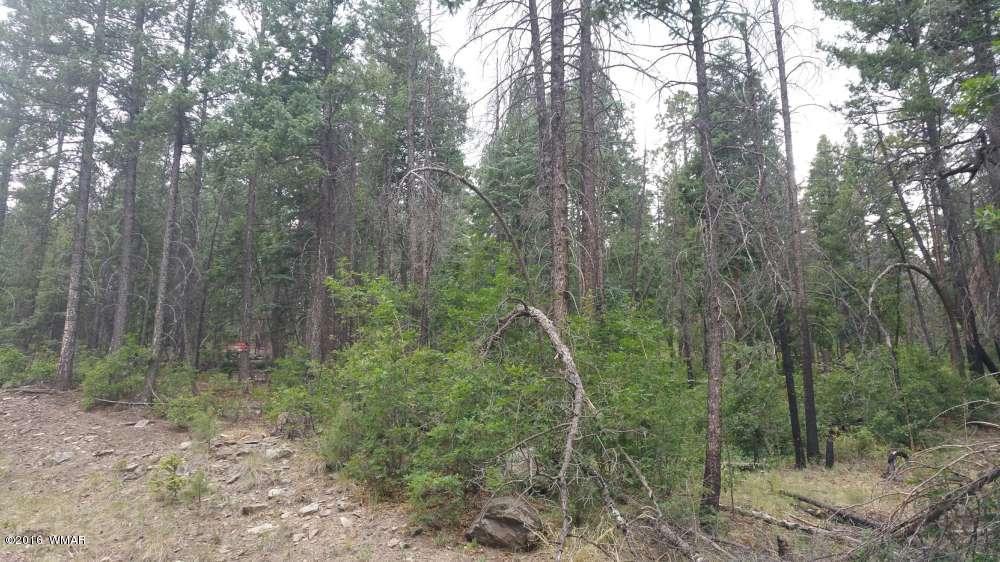 Lot 1 Squaw Valley CR 2073, Alpine, AZ 85920