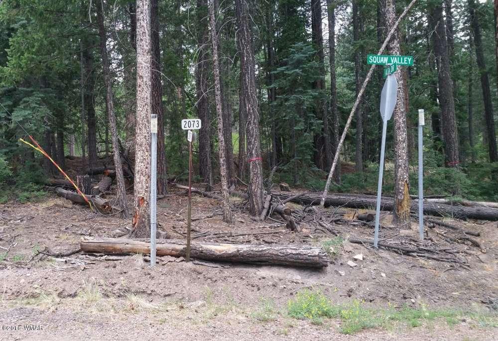 Lot 1 Squaw Valley CR 2073, Alpine, AZ 85920