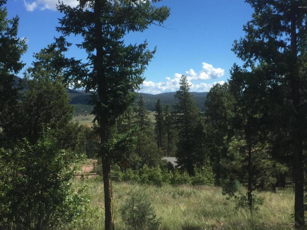 22 CR 2074, Alpine, AZ 85920