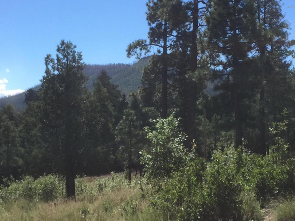 22 CR 2074, Alpine, AZ 85920