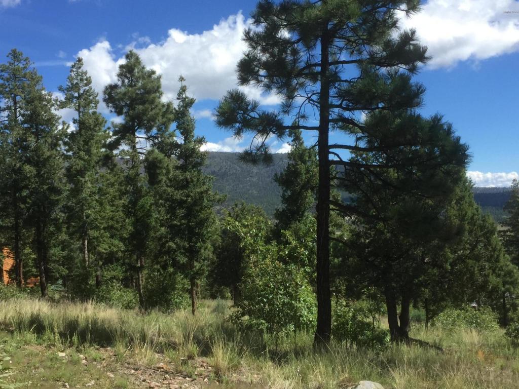 22 CR 2074, Alpine, AZ 85920