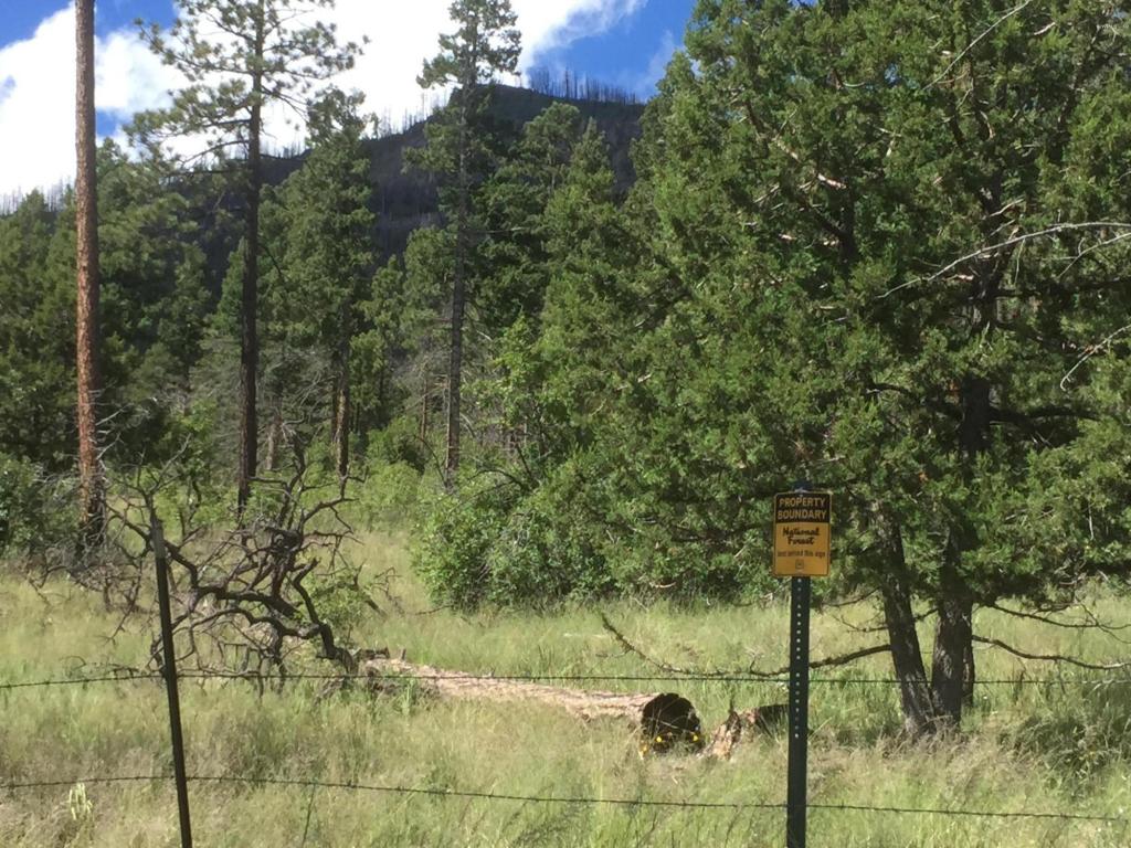 22 CR 2074, Alpine, AZ 85920