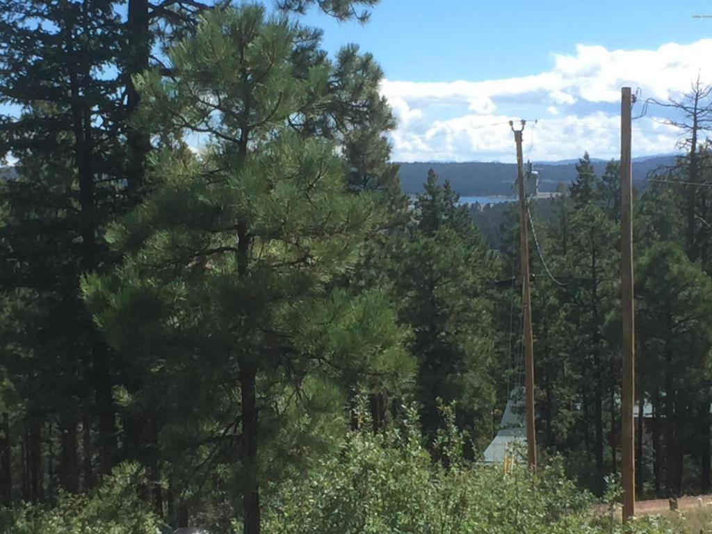 22 CR 2074, Alpine, AZ 85920