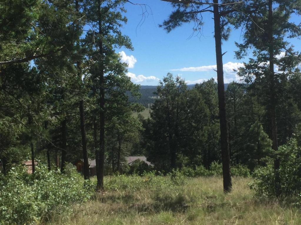 22 CR 2074, Alpine, AZ 85920