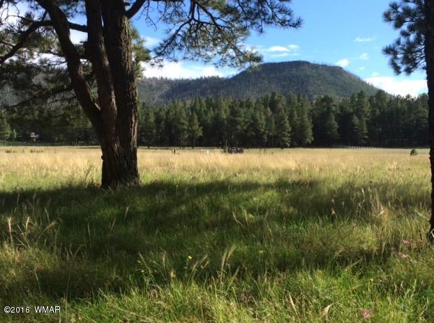 5D County Road N2260, Alpine, AZ 85920