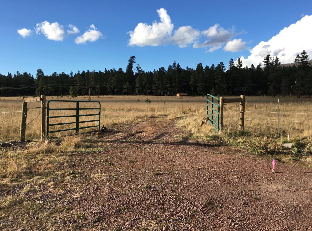 5D County Road N2260, Alpine, AZ 85920