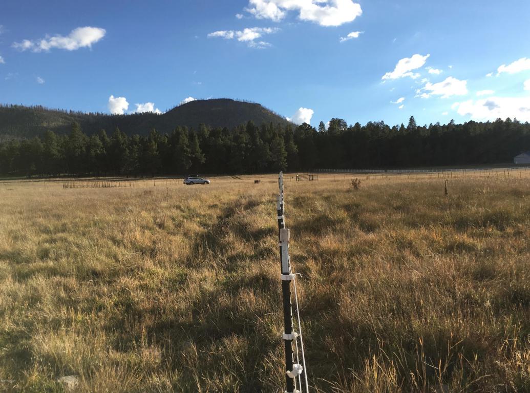 5D County Road N2260, Alpine, AZ 85920