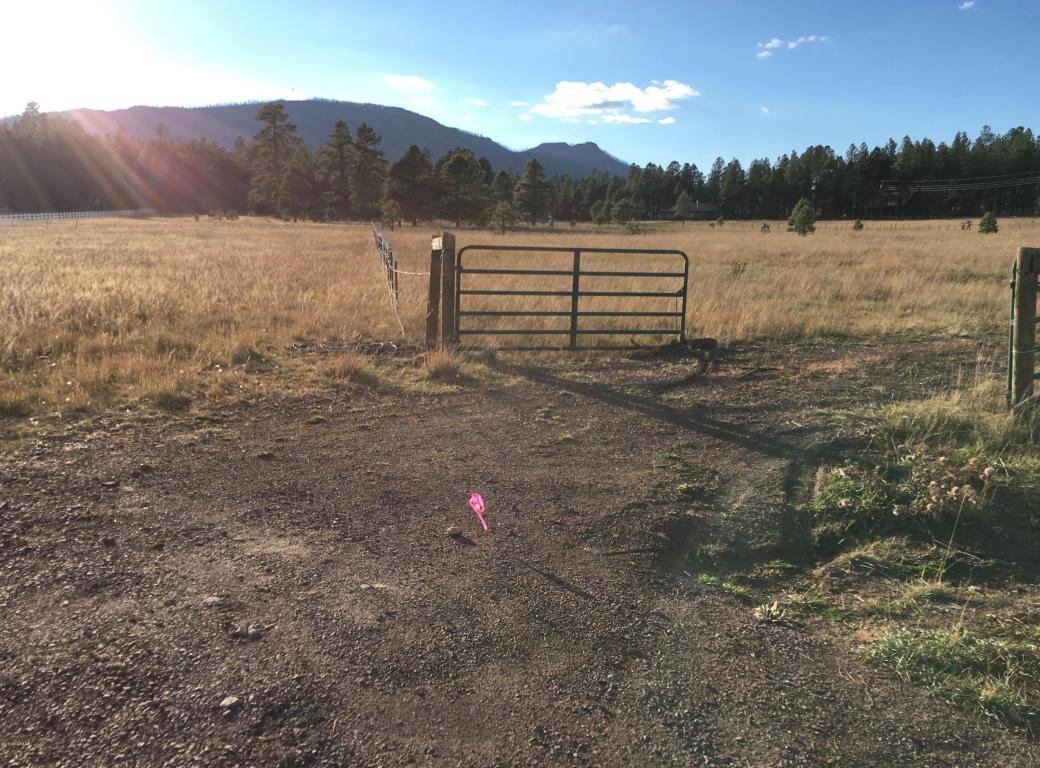5D County Road N2260, Alpine, AZ 85920