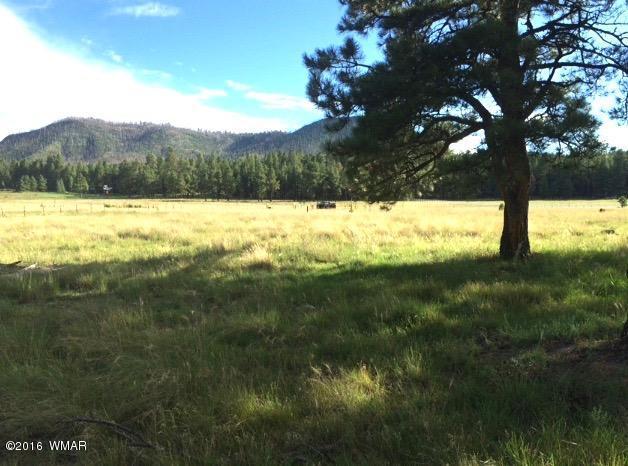 5D County Road N2260, Alpine, AZ 85920