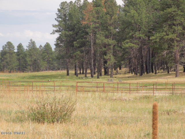 Lot 16 CR 2107, Alpine, AZ 85920