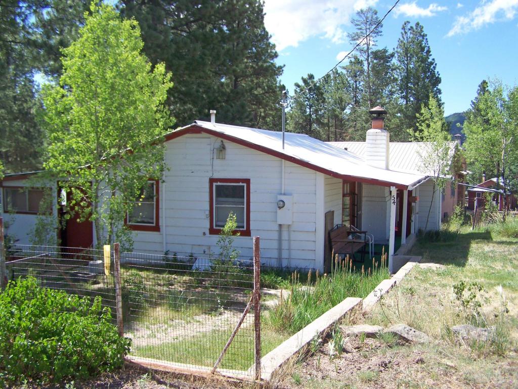 54 County Road 2051, Alpine, AZ 85920