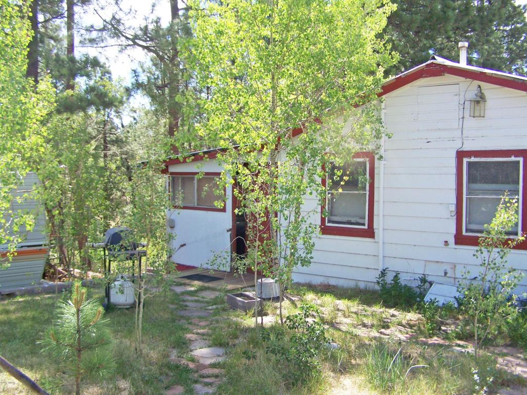 54 County Road 2051, Alpine, AZ 85920