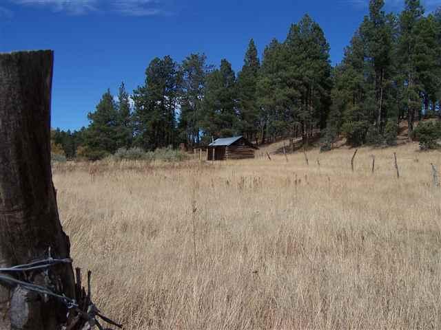 CR2310 CR 2310, Alpine, AZ 85920