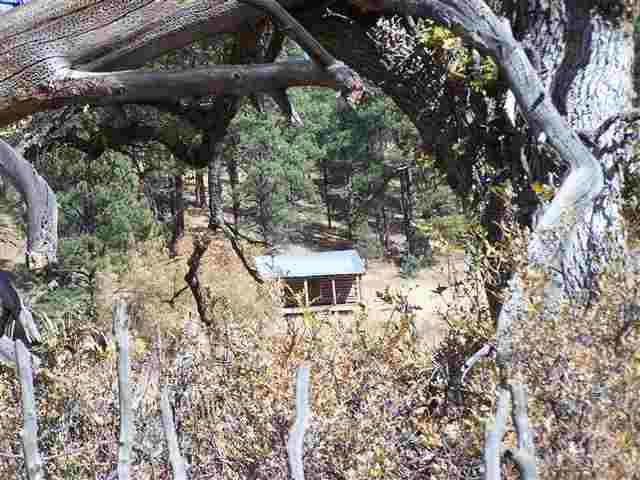 CR2310 CR 2310, Alpine, AZ 85920