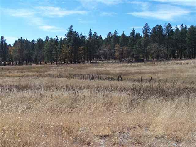 CR2310 CR 2310, Alpine, AZ 85920