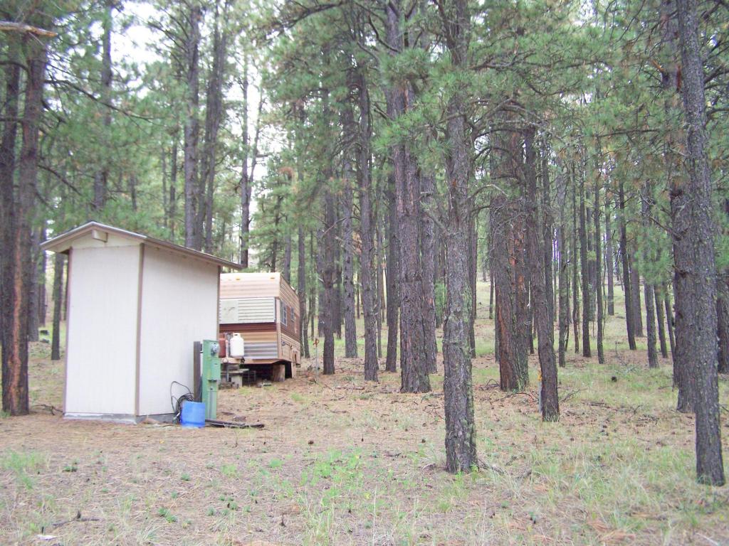 000 OFF COUNTY RD. 2086, Alpine, AZ 85920