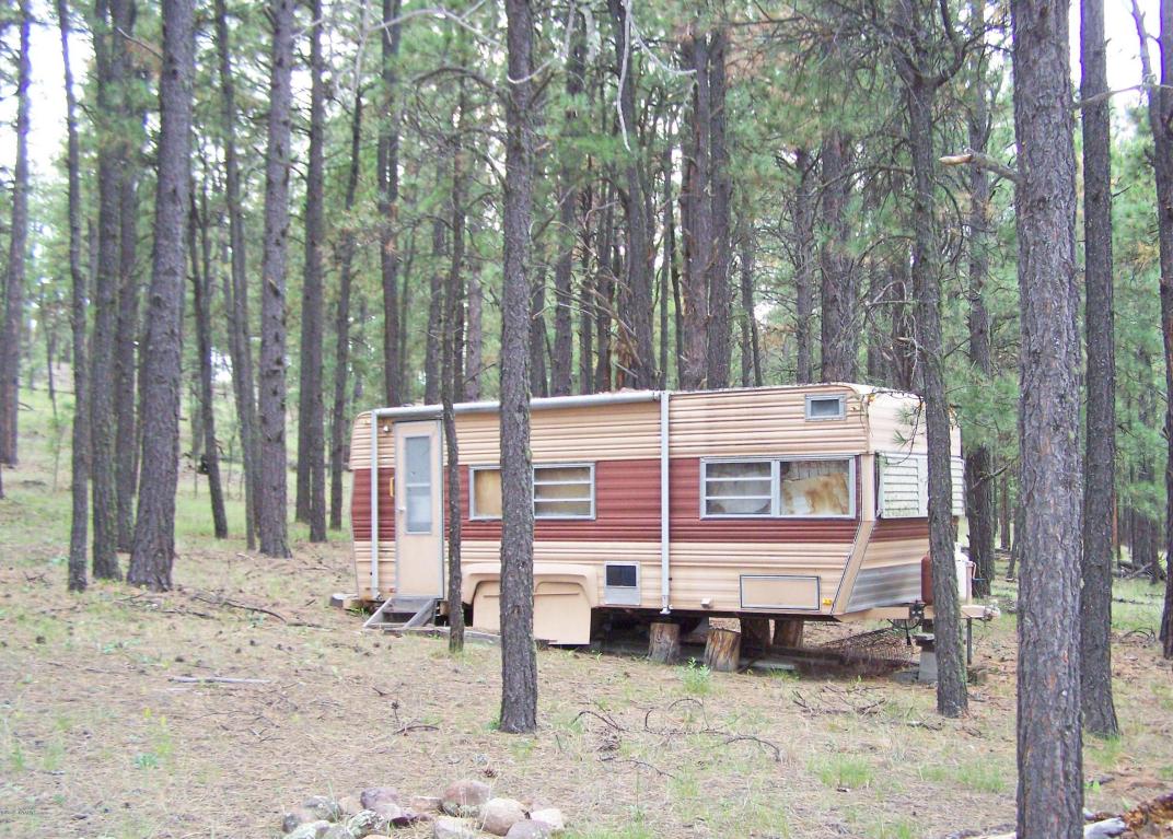 000 OFF COUNTY RD. 2086, Alpine, AZ 85920