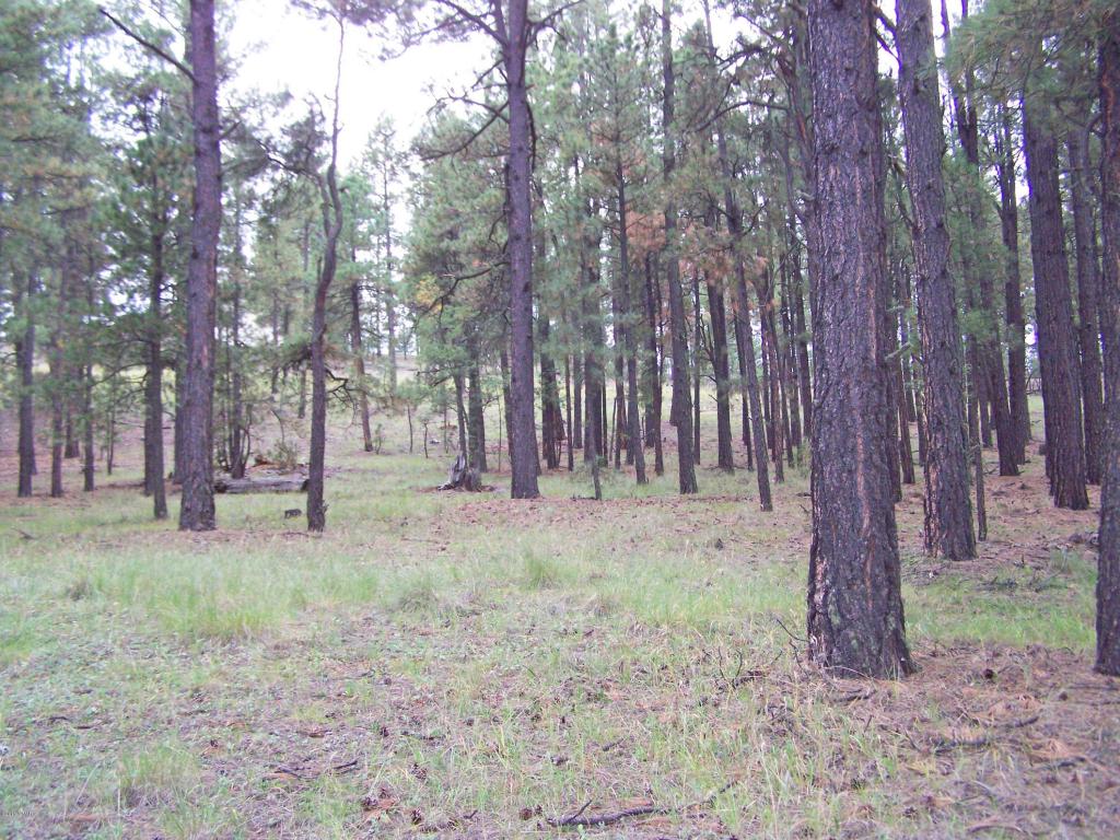 000 OFF COUNTY RD. 2086, Alpine, AZ 85920