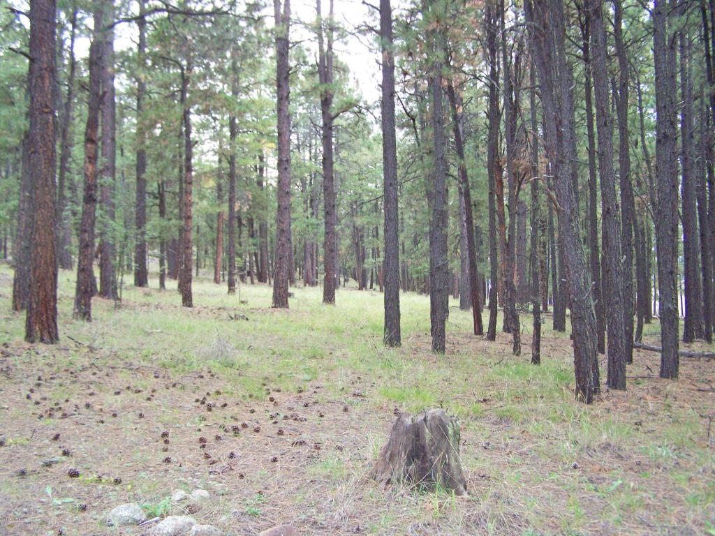 000 OFF COUNTY RD. 2086, Alpine, AZ 85920