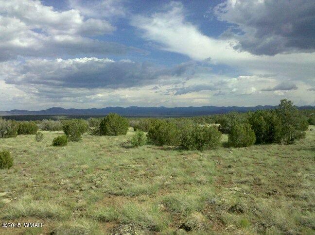 Lot 108 ACR 8525, Concho, AZ 85924