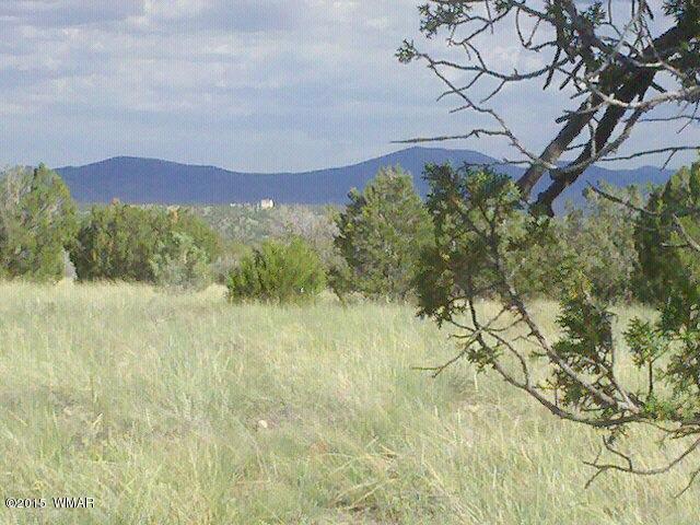 Lot 108 ACR 8525, Concho, AZ 85924
