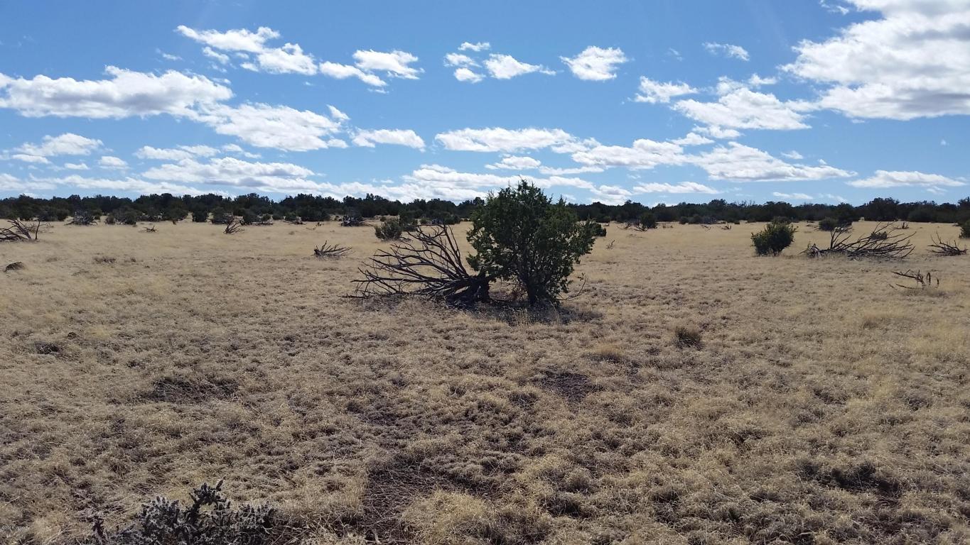Lot 108 ACR 8525, Concho, AZ 85924