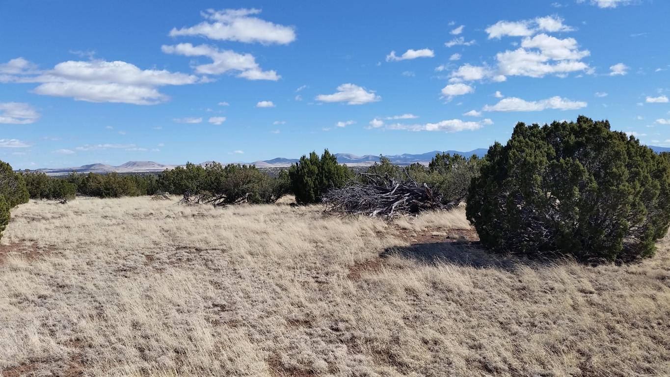 Lot 108 ACR 8525, Concho, AZ 85924