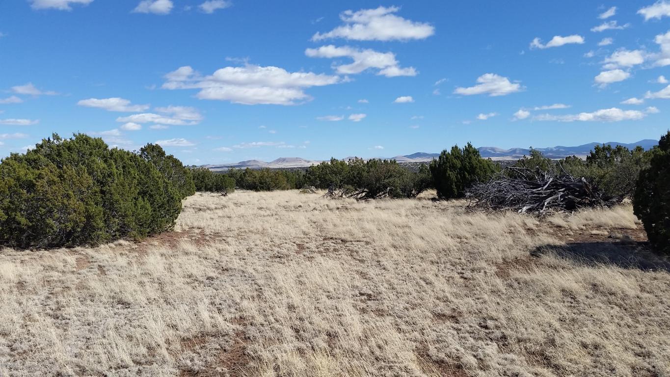 Lot 108 ACR 8525, Concho, AZ 85924
