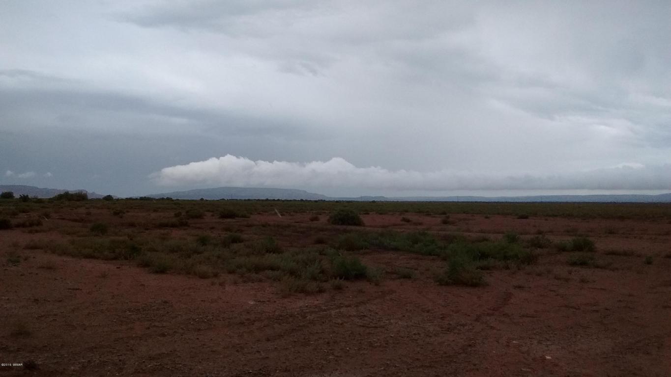 Tract Z CR 5392, Concho, AZ 85924