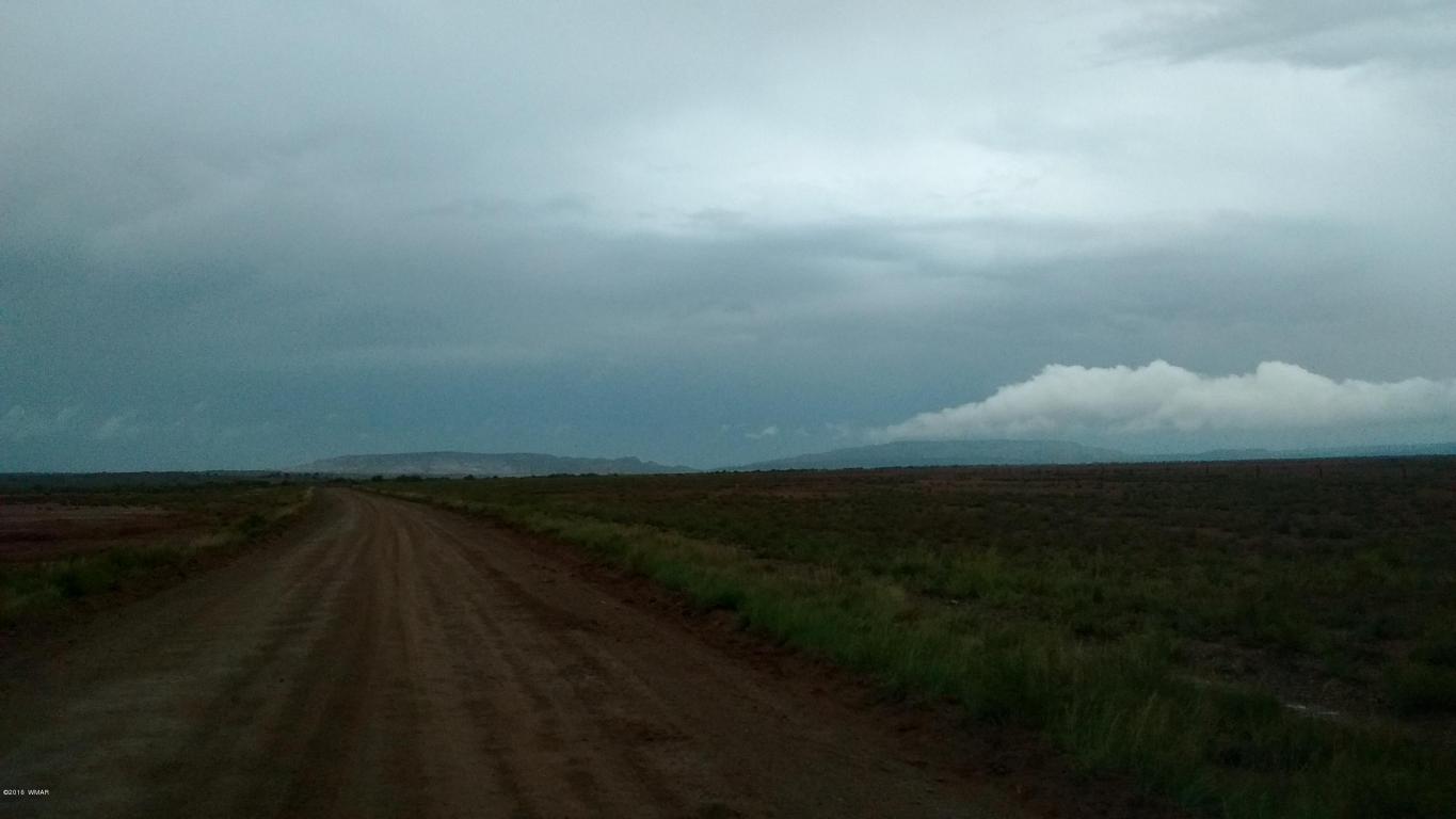 Tract Z CR 5392, Concho, AZ 85924