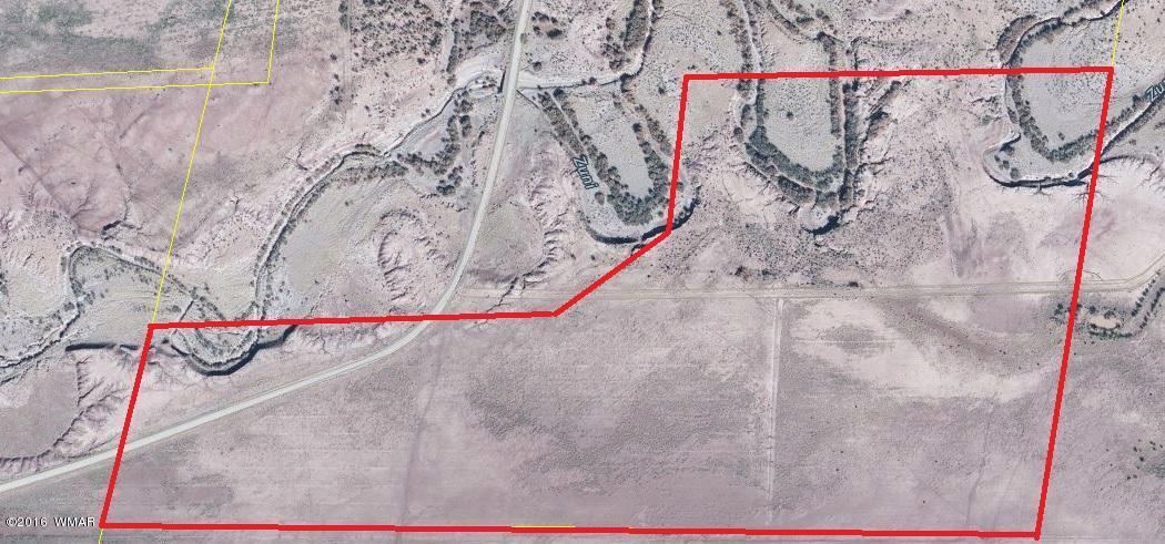 Tract Z CR 5392, Concho, AZ 85924