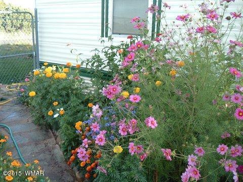 21 Alpine Lane, Concho, AZ 85924