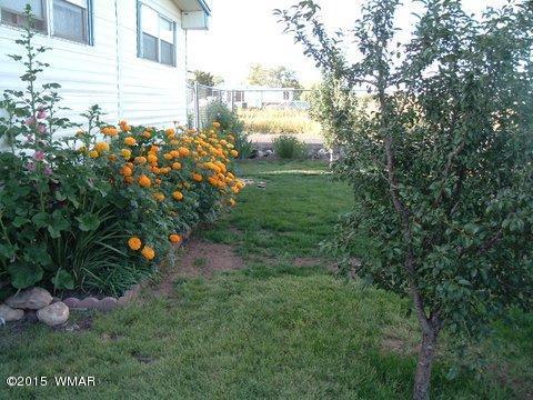 21 Alpine Lane, Concho, AZ 85924