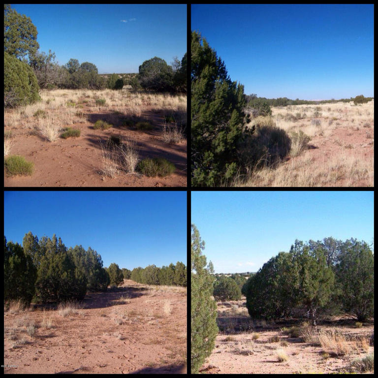 0 N NOLL Road, Concho, AZ 85924