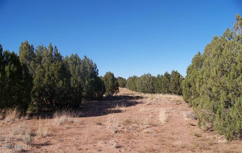 0 N NOLL Road, Concho, AZ 85924