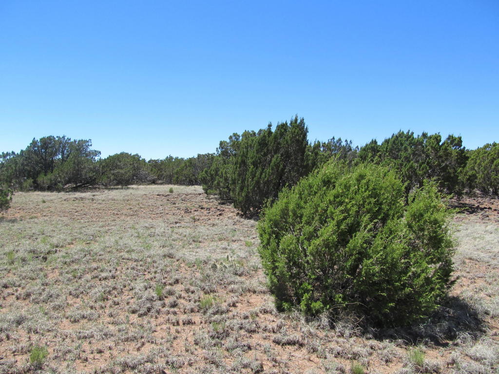 Sec 27 CR 8232, Concho, AZ 85924
