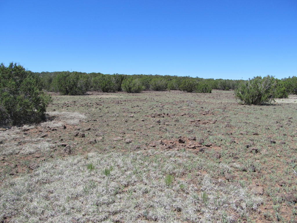 Sec 27 CR 8232, Concho, AZ 85924