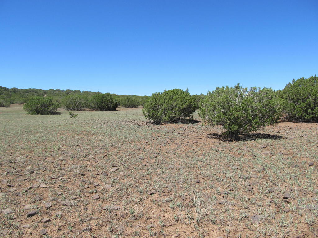 Sec 27 CR 8232, Concho, AZ 85924