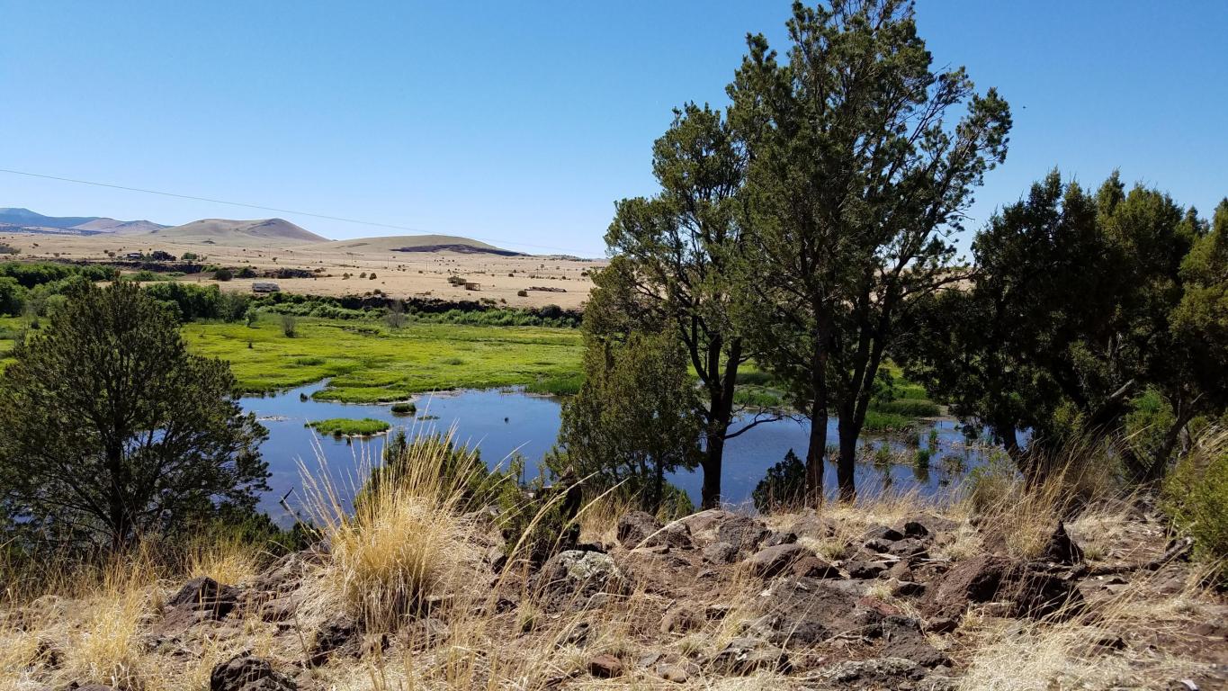 TBD BIG LAKE ROAD, HWY 261, Eagar, AZ 85925